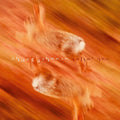 Chuck Johnson: Velvet Arc - {VINYL LP}