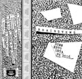 Brainstems: Summer Tour Tape 2016 - CASSETTES
