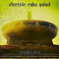 Electric Cake Salad: Subdiffusion - {VINYL LP}