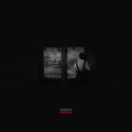 Biosphere: Petrified Forest - {VINYL LP}