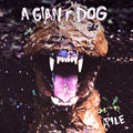 Giant Dog: Pile - COMPACT DISCS