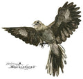 John Zorn: Mockingbird - COMPACT DISCS