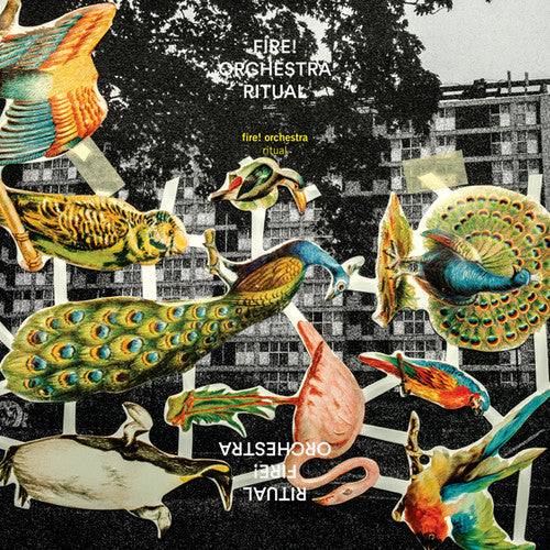 Fire Orchestra: Ritual - COMPACT DISCS