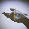 Gregory Isakov: With The Colorado Symphony - {VINYL LP}