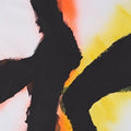 Rob Mazurek: Alien Flower Sutra - {VINYL LP}