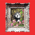 Hollow Sunshine: Bible Sea - {VINYL LP}