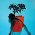 Local Natives: Sunlit Youth - {VINYL LP}