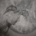 Torpor / Sonance: Split - {VINYL LP}