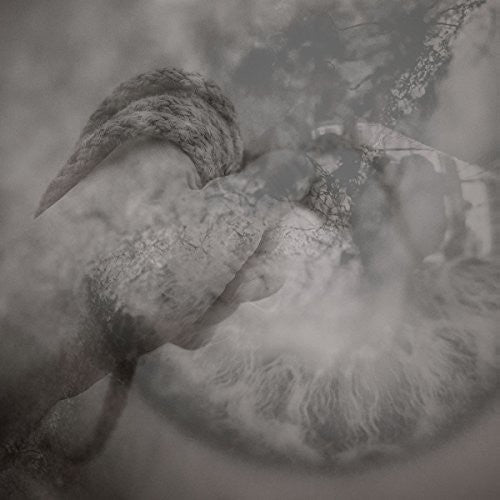 Torpor / Sonance: Split - {VINYL LP}