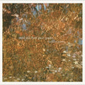 Baird Sisters: Until You Find Your Green - {VINYL LP}
