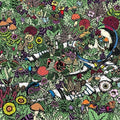Oozing Wound: Whatever Forever - {VINYL LP}