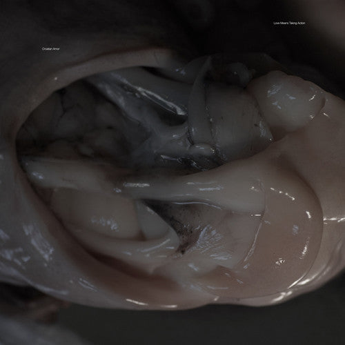 Croatian Amor: Love Means Taking Action - {VINYL LP}