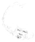 Will Long: Sallow / Pine - {VINYL LP}