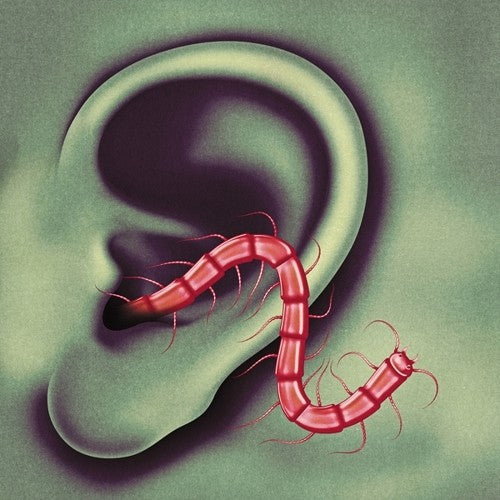 Thee Oh Sees: An Odd Entrances - {VINYL LP}
