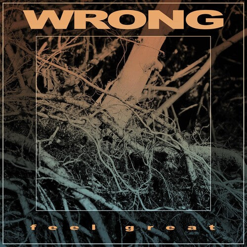 Wrong: Feel Great - {VINYL LP}