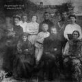 Pineapple Thief: Abducted At Birth - {VINYL LP}
