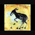 Camaron De La Isla: Potro De Rabia Y Miel - {VINYL LP}