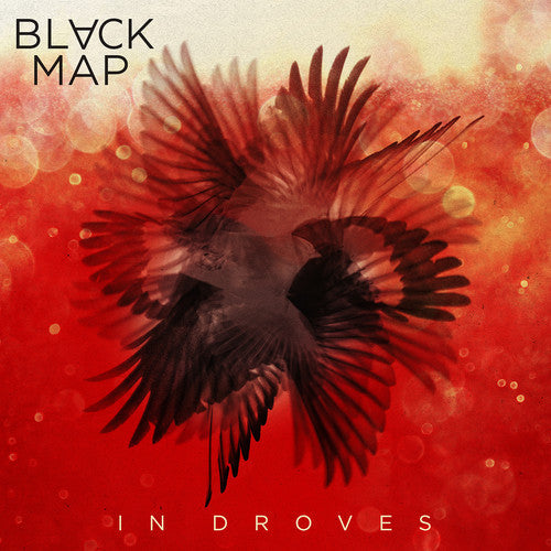 Black Map: In Droves - {VINYL LP}