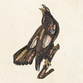 Clutch: Book Of Bad Decisions - {VINYL LP}