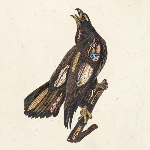 Clutch: Book Of Bad Decisions - {VINYL LP}