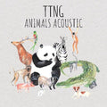 Ttng: Animals Acoustic - COMPACT DISCS