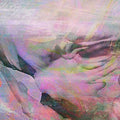 Gallops: Bronze Mystic - {VINYL LP}
