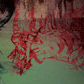 Remote Viewing: Blood Loss - {VINYL LP}