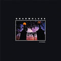 Gnarwolves: Outsiders - COMPACT DISCS