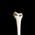 Juana Molina: Halo - {VINYL LP}