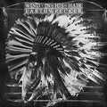Wind In His Hair: Earthwrecker - {VINYL LP}