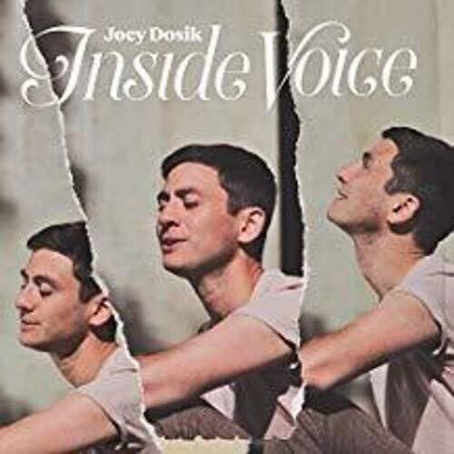 Joey Dosik: INSIDE VOICE - {VINYL LP}