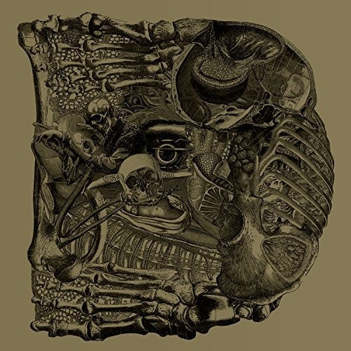 Boris: Dear - COMPACT DISCS