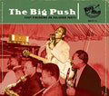 Various Artists: Big Push - COMPACT DISCS