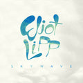 Eliot Lipp: Skywave - {VINYL LP}