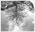 Tommaso Trio Perazzo: What's Coming Next - COMPACT DISCS