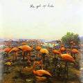 The Get Up Kids: Problems - {VINYL LP}