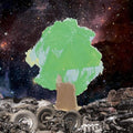 Chris T-T: 9 Green Songs - COMPACT DISCS