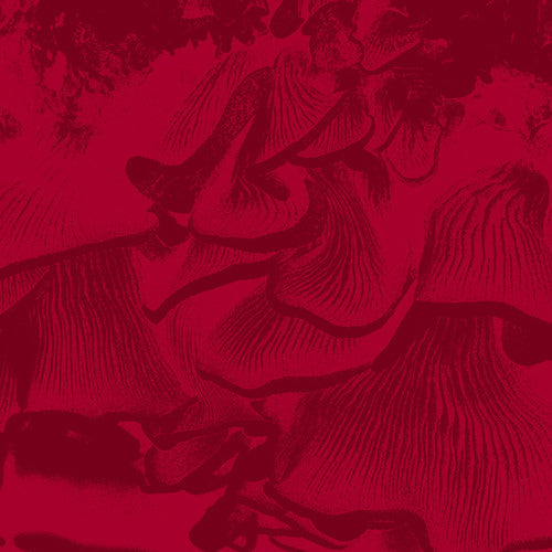 Maurizio Abate: Live At Elastico - 12-INCH SINGLE