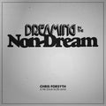 Chris Forsyth & the Solar Motel Band: Dreaming In The Non-dream - {VINYL LP}