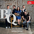 Janacek / Reiprich / Pavlis: Music for Wind Instruments - COMPACT DISCS