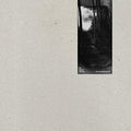 Beren Gieren: Broensgebuzze - {VINYL LP}