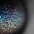 Emptyset: Blossoms - {VINYL LP}