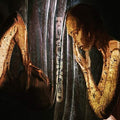 Renounced: Beauty Is A Destructive Angel - {VINYL LP}