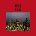 Bonnie Prince Billy: I Made A Place - {VINYL LP}