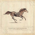 Turnpike Troubadours: A Long Way From Your Heart - {VINYL LP}