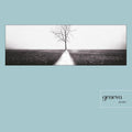Geneva: Further - {VINYL LP}