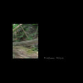 Oval Language: Waldkonzerte - {VINYL LP}