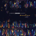 Gabriel Grossi: #motion - {VINYL LP}