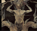 Begerith: A.d.a.m. - COMPACT DISCS