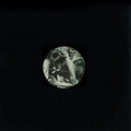 Sam De La Rosa: Earth Wart - 12-INCH SINGLE